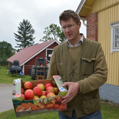 Mikael Jensen håller fram låda med äpplen.