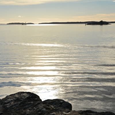 Helt åt skogen på Runsala