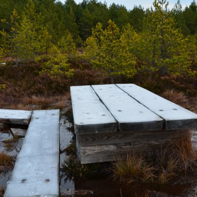 pomponrahka, helt åt skogen,