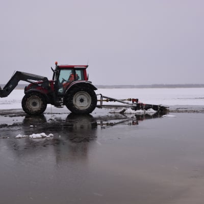 En traktor på Stadsfjärden i Vasa pumpar upp vatten på isen för att få den tjockare.