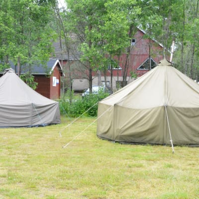 Tält på scoutläger