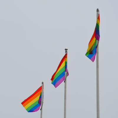 Regnbågsflaggor i Åbo
