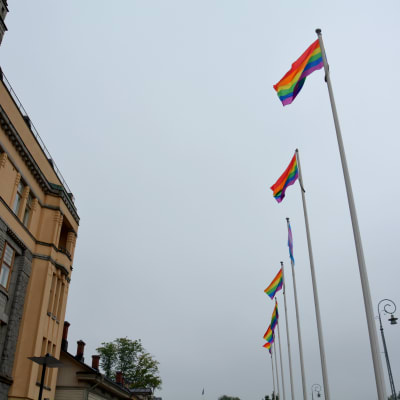 Regnbågsflaggor vid åstranden i Åbo under Åbo pride