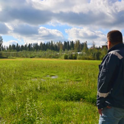 Niklas Sjöskog, jordbrukare i Pedersöre ser ut över en blöt åker.