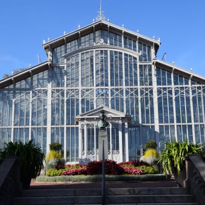 Vinterträdgården i Helsingfors