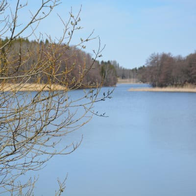 Sötvattenbassägen på Ålön i Pargas.