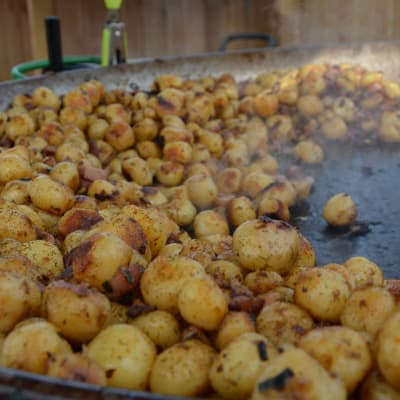 Nystekta nypotatis blev pytt i panna på potatisfestivalen de vita päron i Nagu.