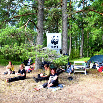 WWF:s talkoläger på Furuvik naturskyddsområde i Hangö.