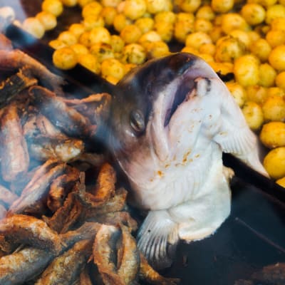 Fiskhuvud på ett grillkök på Salutorget