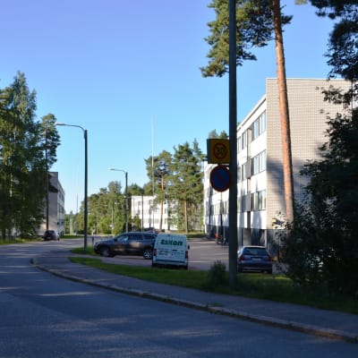 Södra åsen i Lovisa en sommarmorgon.