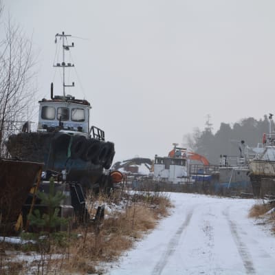 Skallholmen i Tolkis i Borgå