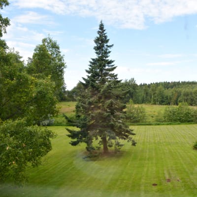 Bakgården på Stensböle gård, sedd från salongen.