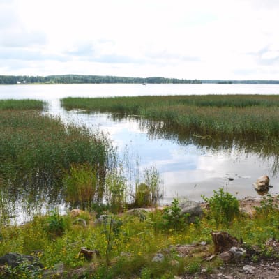 haiko byaförenings strand i haiko 2016