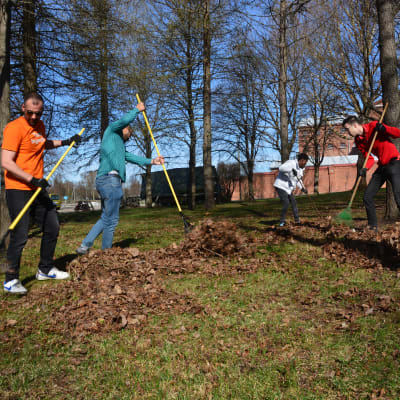 Asyslsökande från Vasa mottagningscentral visar sin tacksamhet genom att hjälpa till med städningen av stadens grönområden.
