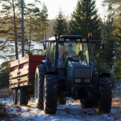 Granar som odlas i skogen transporteras på ett traktorsläp.