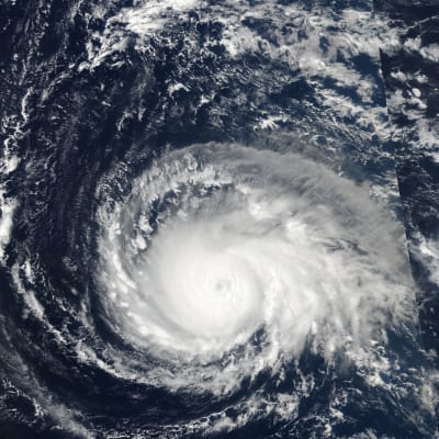Orkanen Irma. 