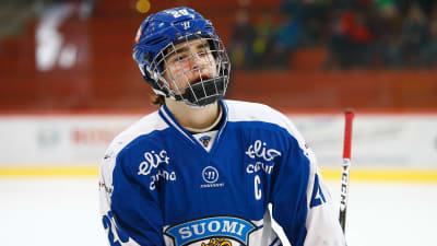 Aarne Talvitie