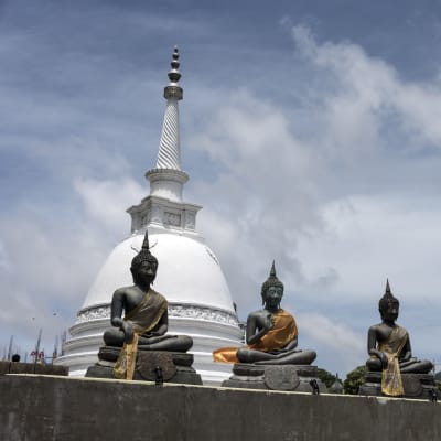 Buddhastatyer i Sri Lankas största stad Colombo.