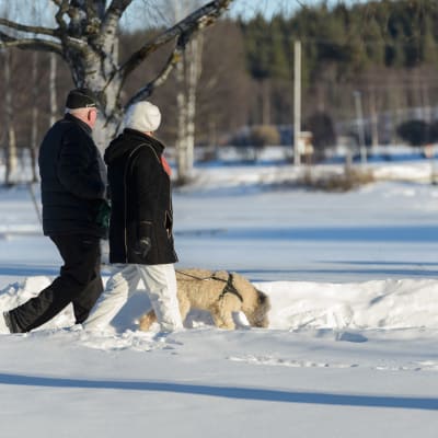Äldre par ute och går med terrier.