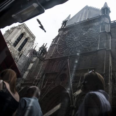 En dramatisk mörk bild på Notre-Dame kyrkan, tagen ur grodperspektiv