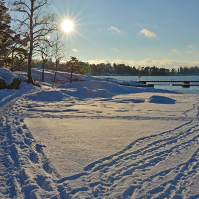 Vinterlandskap med snö och sol
