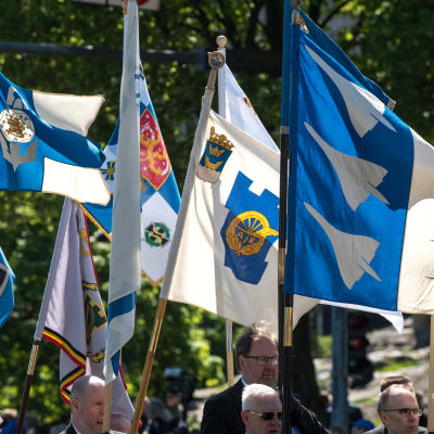 Puolustusvoimain lippujuhlapäivä, sotilaita, lippuja, sotilaat marssivat ja kantavat lippuja