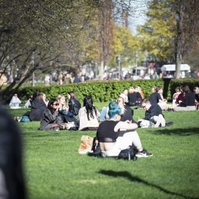 Små grupper av människor sitter utspridda över en solig gräsmatta. 