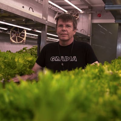 Gradian opettaja Heikki Korhonen, salaativiljelykasvien keskellä.