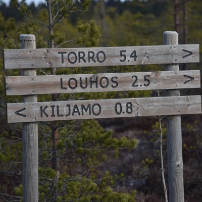 Opaskyltti Torronsuon kansallispuistossa.