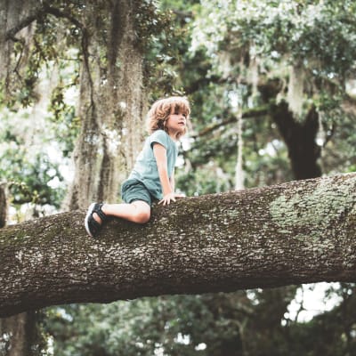 Ett barn som klättrar ovanpå en trädstam.