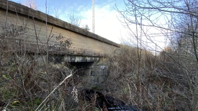 En bäck rinner under en gammal betongbro. Växtlighet i bruna höstfärger.