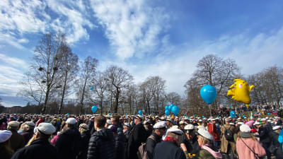Folkmassa med många studentmössor i Kajsaniemiparken, med en Pikachu-ballong och blå himmel.