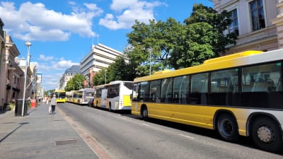 Bussar på rad på Eriksgatan i Åbo den 15.8.2022. Foto: Mikael Piippo/Yle