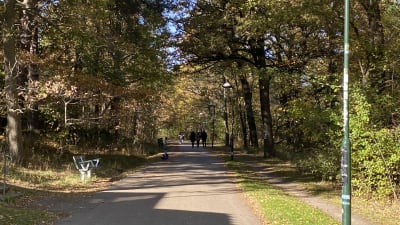 promenadväg i Hammarbyskogen