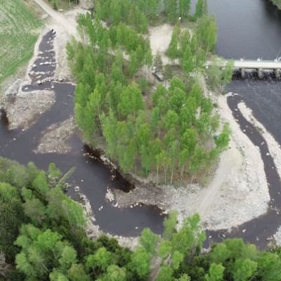 Pomarkunjoen Riuttaan valmistunut kalatie