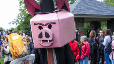 En demonstrant mot G7-mötet i Kanada har tagit på sig en mask föreställande en gris.
