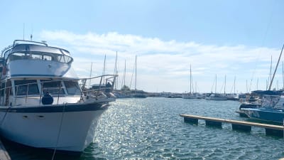 En hamn med båtar.