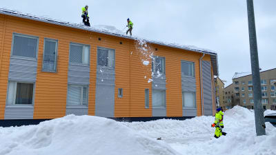 Två personer röjer ner snö från ett tak, en tredje står nere på marken.