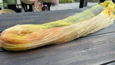 Växtfärgat garn i skiftande gula färger på ett brunt bord.