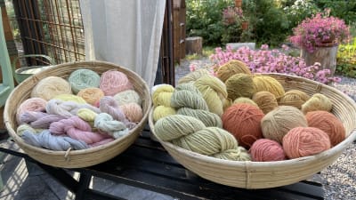 Två korgar med garnnystan i olika pastellfärger. Garnet är färgat med olika växtfärger och finns i blåa, rosa, gula, gröna och bruna nyanser.
