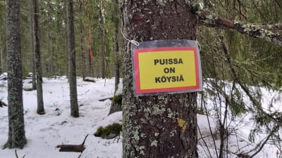 Skylt som uppger att det hänger rep mellan träden.
