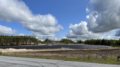 En stor park med solpaneler står på en åker intill en skogsdunge med fluffiga moln hängades ovanför. 