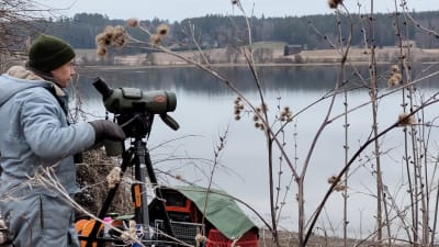 Haalaripukuinen mies seisoo kaukoputken vieressä ja katselee tulvivalle pellolle.