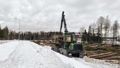 En skogsmaskin flyttar stockar vid ett kalhygge.