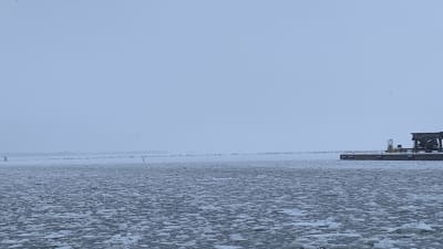 Vy från hamnen i Vasa mot ett område som ska fyllas ut och bli område för lager. 