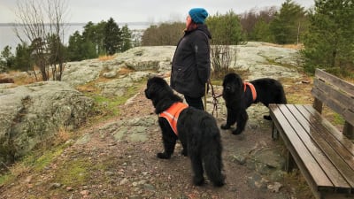 Pia Alarto står med sina hundar i Kopparnäs.