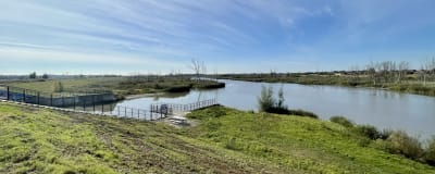 Dammar och våtmarker reglerar vattenflödet vid Scheldeflodens mynning, strax utanför Antwerpen.