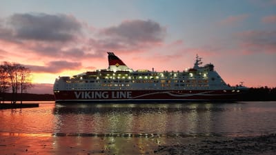 Viking Lines passagerarfärja Amorella glider förbi Folkparkens badstrand i Åbo en tidig morgon då morgonsolen lyser upp allt i gult och orange.