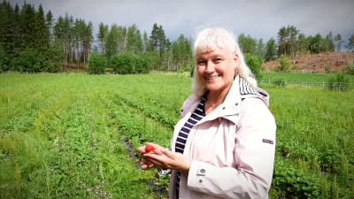 Pirjo Holmén, en dam med ljust hår och en ljus jacka, står på en odling med en jordgubbe i handen.