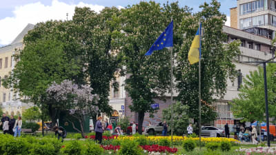 Ukrainas och EU:s flaggor vajar på flaggstångar i en solig park i Kiev.